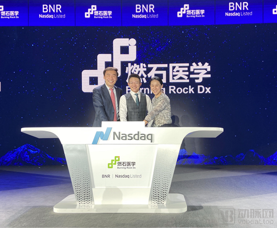北极光创投投出的企业，引领创新与发展的先锋力量