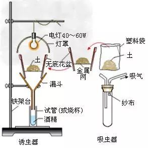 如何判断气压高低，方法与原理的解析