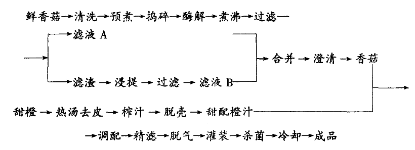 如何制造饮料，从基础到进阶的全面指南