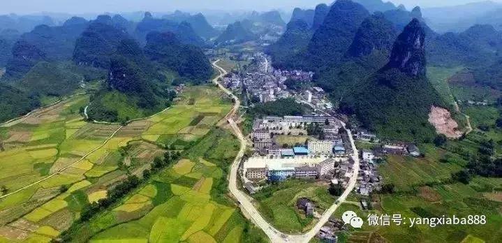 大棚养虾，选择何种虾种更为适宜