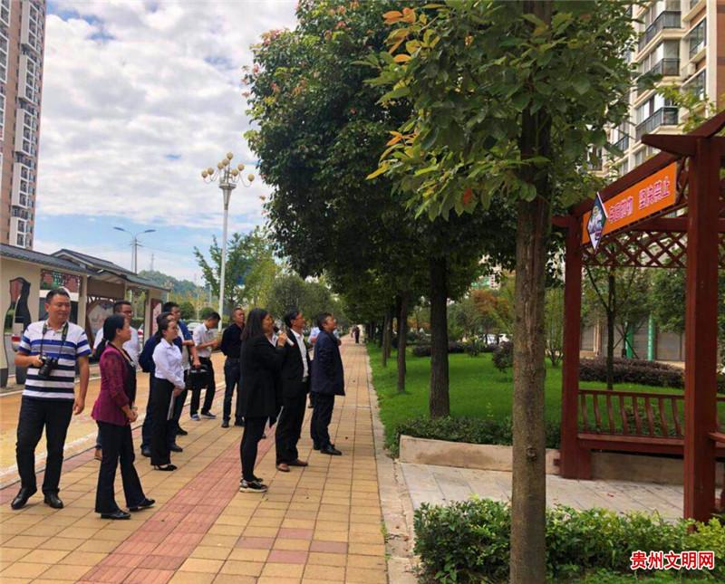 贵州白木纹，自然之美与价值的交织