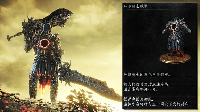 诅咒铠甲开局，勇者之路的艰难挑战