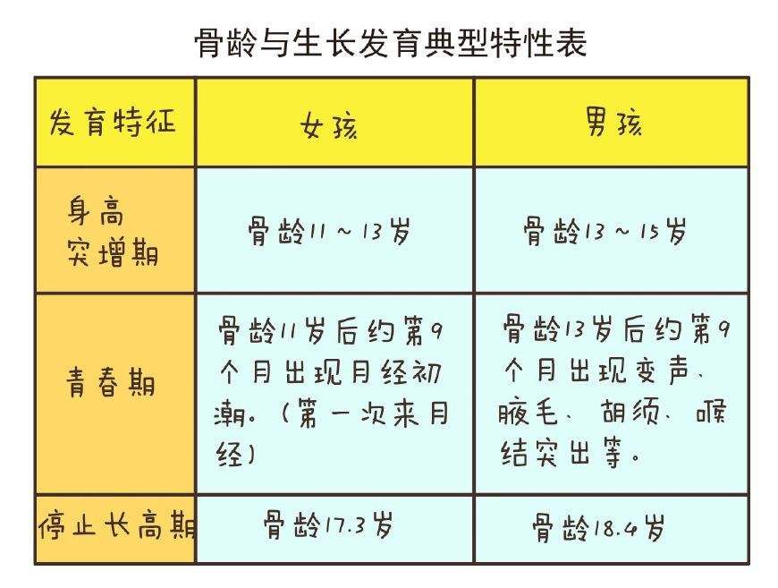 儿童查身高专家，关注儿童成长，专业评估身高发展