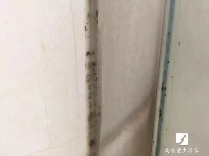 白木纹石吸水后变黑，原因解析与应对策略