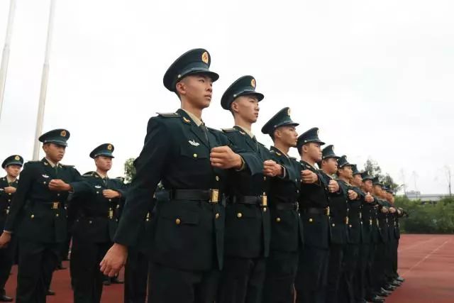 士官级别待遇，深度解析与探讨