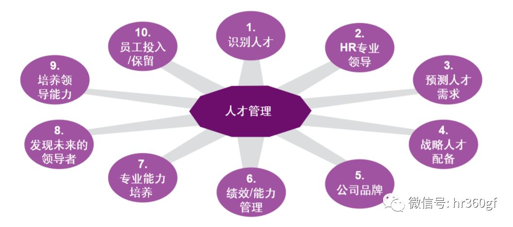岗位专业能力清单，构建高效人才管理体系的关键要素