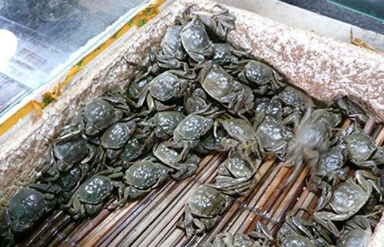 长江狭水道船舶事故，成因、影响与应对策略