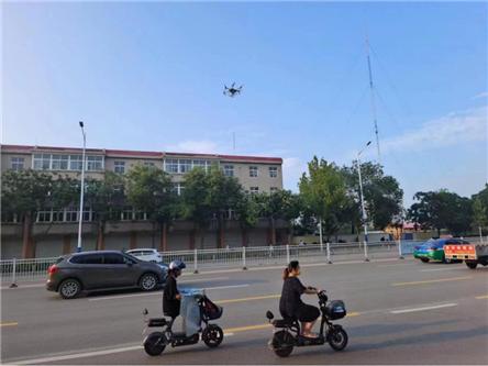 德州东风路行道树品种及其生态价值与文化意义