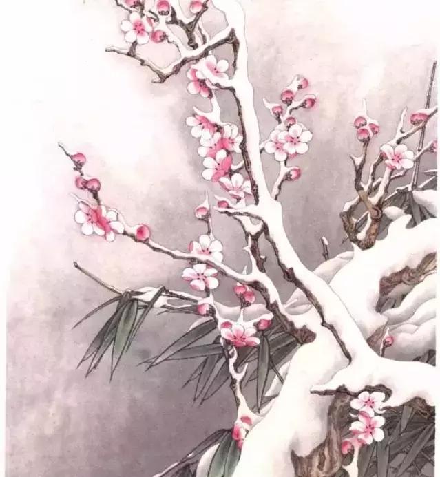 绿色梅花品种的名贵性探讨