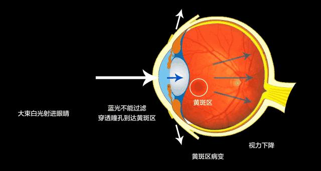 如何辨别真假蓝光碟，全面解析与实用指南