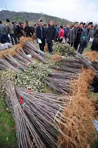 理论文章 第53页