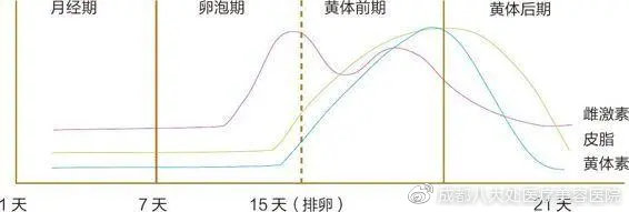 调查报告 第41页