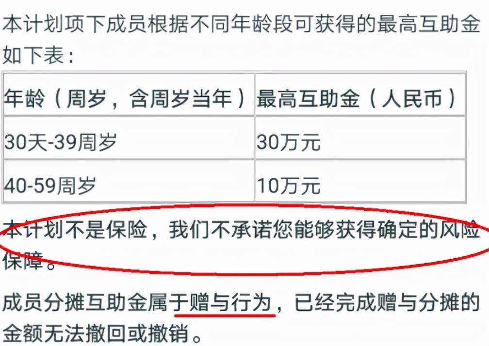 保险合同与发票，理解其重要性及其相互关系