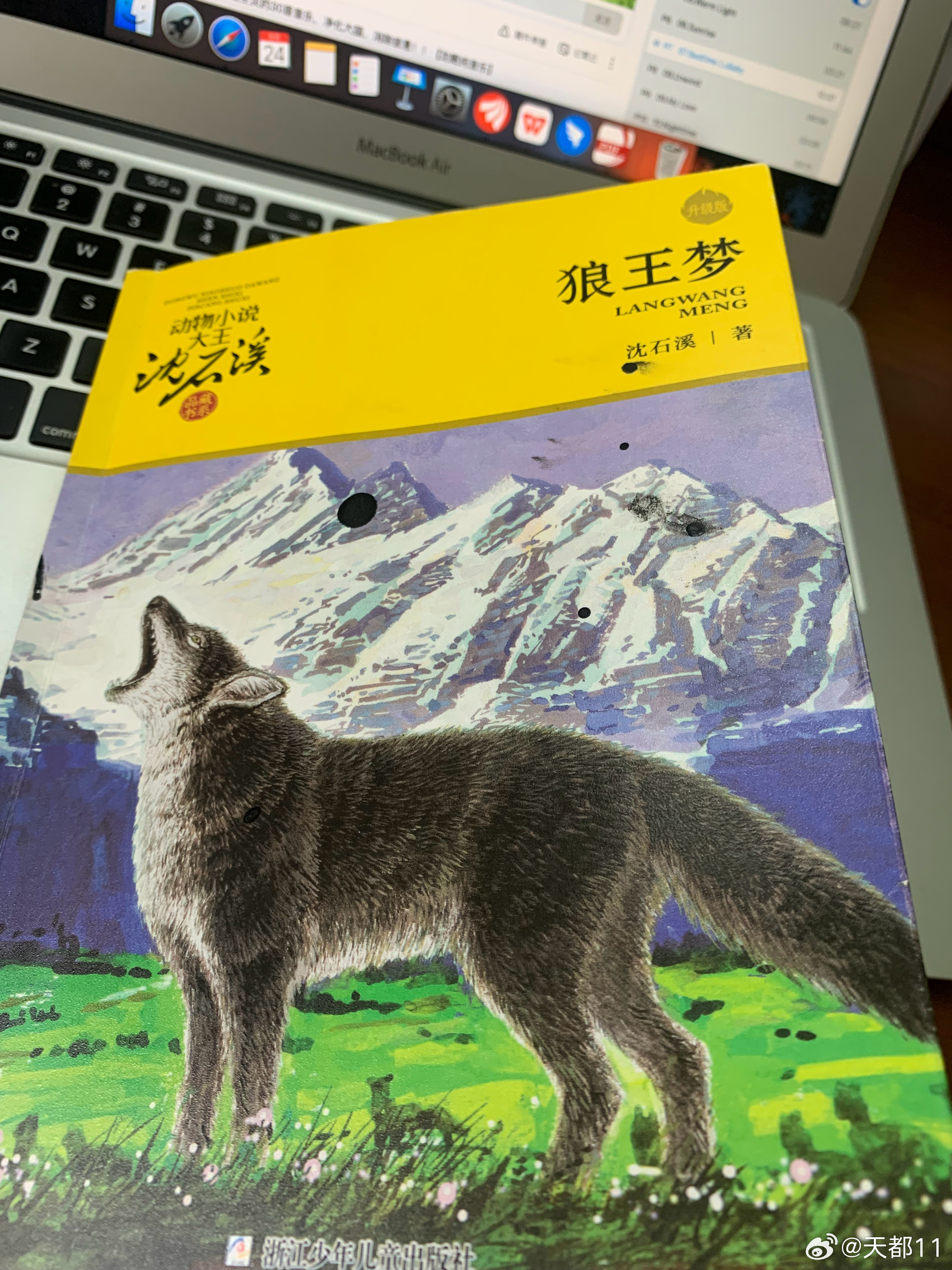 狼王梦，一本书的价值与梦想的力量
