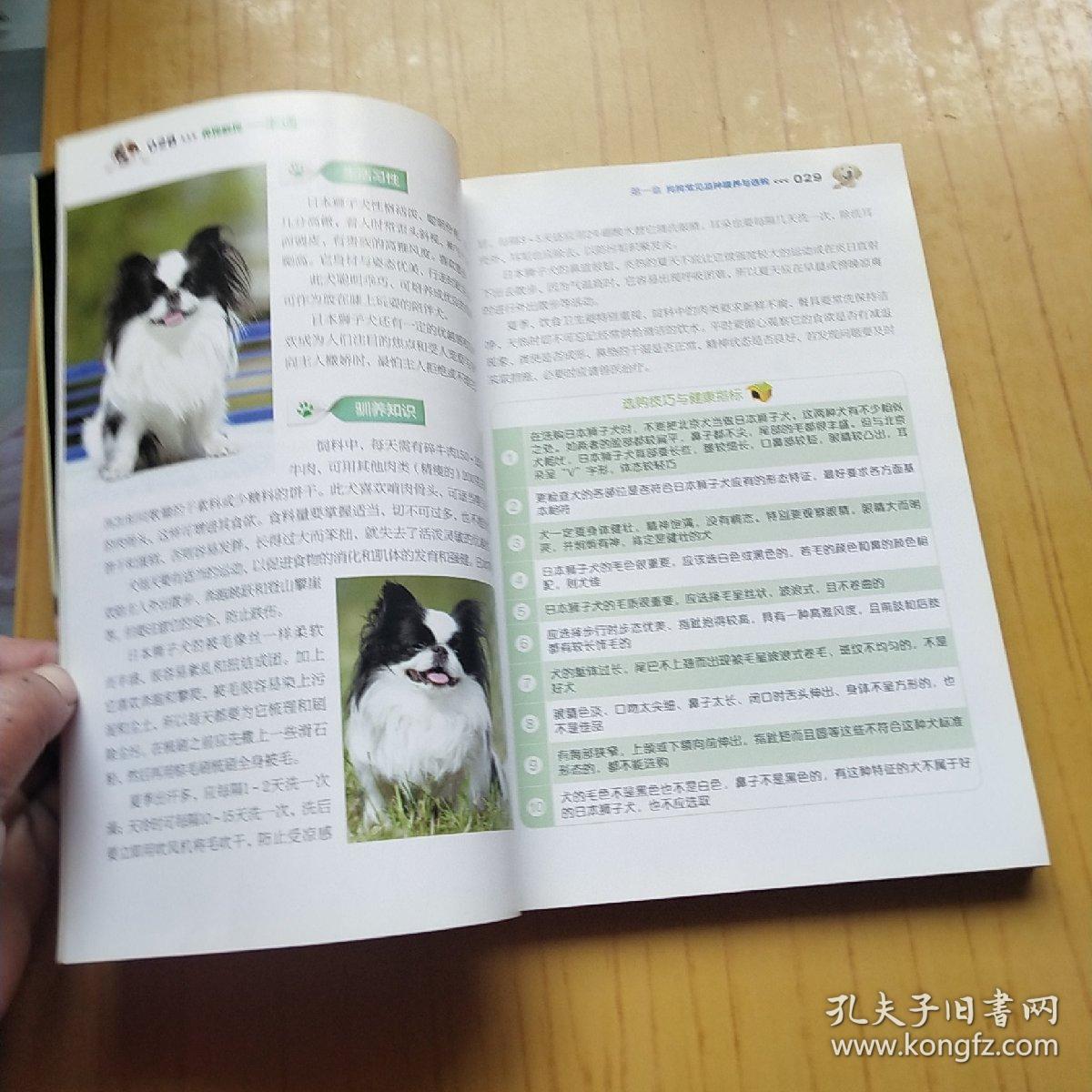 养狗驯狗一本通下载，全面指导手册与实用指南