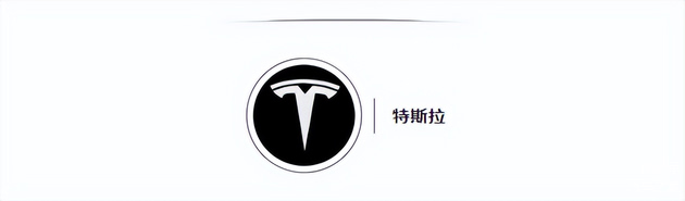 特斯拉韭菜图标，深度解析其象征意义与影响