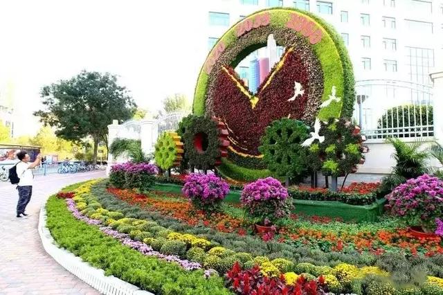 金叶榆品种繁多，各具特色