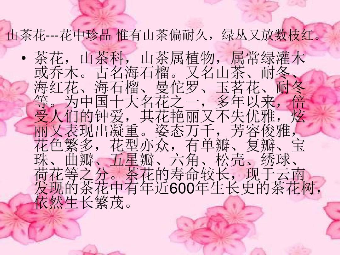 茶花珍贵品种欣赏