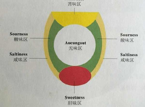 Ray辩真假鉴别——深度解析鉴别技巧与策略