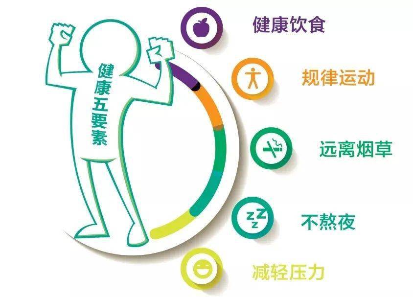 维扬健身，塑造健康生活的力量之源