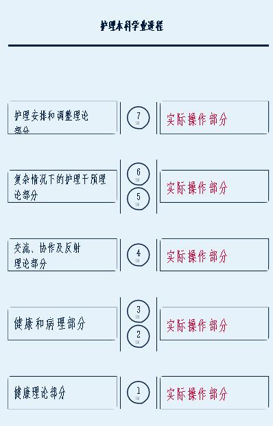 内科护士一本通，专业知识的深度解析与实践应用