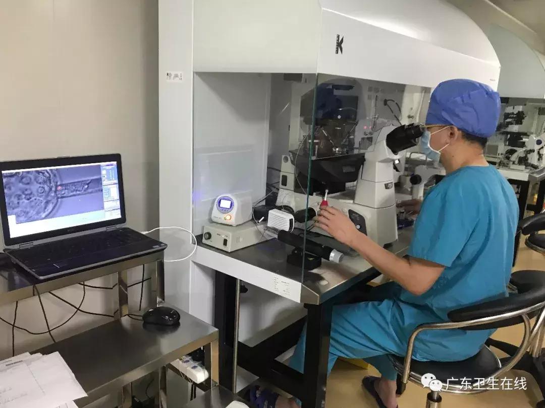 取卵后恢复时间与重返工作岗位的时间